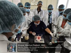Workshop on Convulsion Models and Animal Handling at PBRI on July 26, 2025