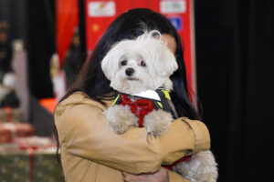 Christmas-Wonderland-03